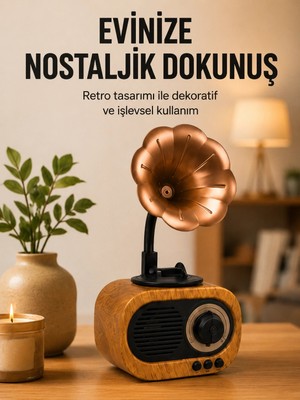 Ronanna Buğz Retro Tasarımlı Mini Bluetooth Hoparlör ve Fm Radyo Çoklu Medya Yeni Nesil