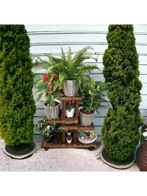 Veher Ahşap (Çam) Ceviz Renk 4 Katlı Bitki Standı, Kilitlenebilir Tekerlekler + Mini Bahçe Set
