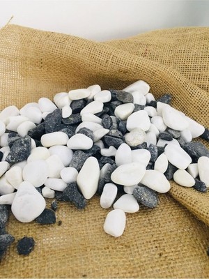 Asenya Renkli Çakıl Taşı 7 kg 1-2 cm Siyah Beyaz Saksı Dibi Taşı Teraryum Vazo Dibi Dekoratif