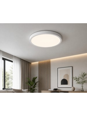 Ack LED Panel Spot Tavan Armatür Sıva Üstü/sıva Altı  Yuvarlak 24W 3000K-4000K-6500K Cct 2200LM Beyaz Kasa AP03-02490
