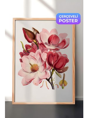 1001 Ahşap Çerçeveli Duvar Tablosu Pastel Tonlarda Manolya Çiçekleri Sanatsal Illüstrasyon Salon D