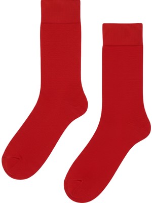 Carnaval Socks Kırmızı Renkli Pastel Tasarım Çorap
