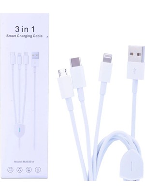 Ankaverse Ally MA039-A Usb-Type-C Micro USB & Lightning 3in1 USB KABLO-(5775)