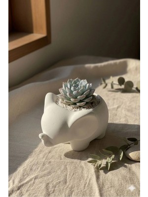 Dekoratif Fil Saksı - Modern Tarz Saksı