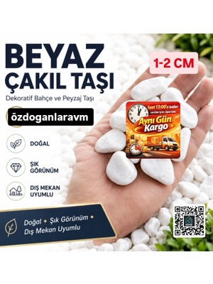 Dogant Beyaz Dolomit Taş 2 kg 1-2 cm Dere Çakıl Taşı Bahçe Peyzaj Süs Taşı Saksı Teraryum Akvaryum Taş