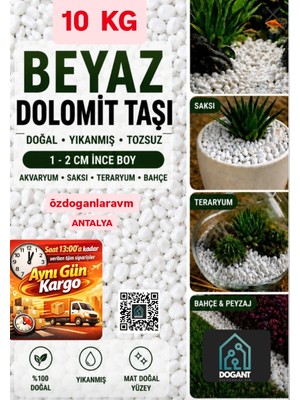 Dogant Beyaz Dolomit Taş 10 kg 1-2 cm Dere Çakıl Bahçe Taşı