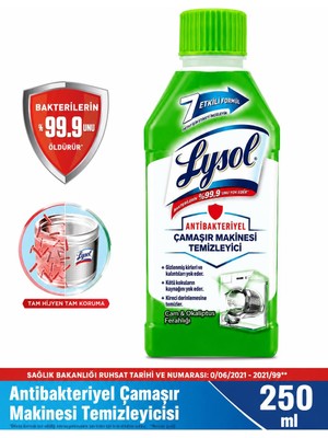 Lysol Antibakteriyel Çamaşır Makinesi Temizleyici Çam ve Okaliptus Ferahlığı 250 ml