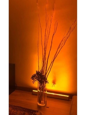 Odea Amber Renkli Wallwasher LED Aydınlatma - Farklı Uzunluklar ile Duvar Boyama