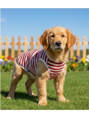 Odea Kedi ve Köpek Atlet, Küçük ve Orta Irklar Için
