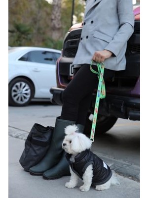 Odea Su Geçirmez Kapitone Köpek Montu - Siyah (Medium)