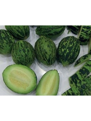 Odea Doğal Kavun Tohumu Hıdır (Turşuluk)