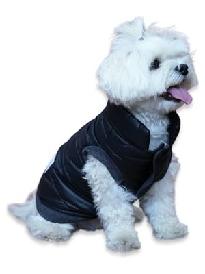 Odea Oli And Lui Siyah Su Geçirmez Kapitone Köpek Montu – Gezdirme Halkalı (Siyah, Medium)