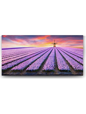 Asitan Yel Değirmeni ve Lavanta Tarlası Tablosu - 120X60CM