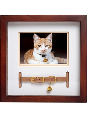 Asitan Köpek Kemikli Çerçeve 10X10 cm Siyah