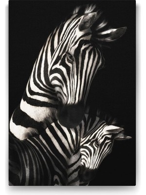 Asitan Desenli Zebra Tablosu - 80X125CM