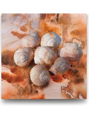 Asitan Deniz Kabuğu Soyut Tablosu - 70X70CM