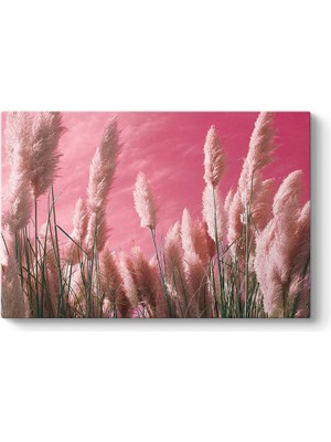 Asitan Pembe Zeminli Pampas Tablosu 125 x 80