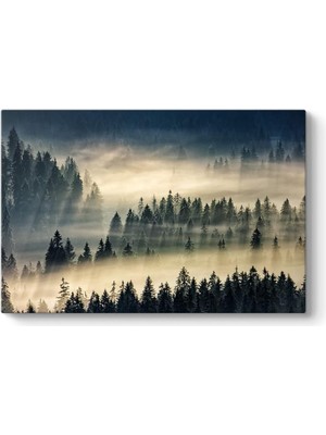 Asitan Sisli Orman Manzarası Tablosu 75 x 50