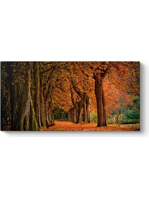 Asitan Renkleri Tablosu 140 x 70