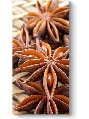 Asitan Anason Çekirdeği Tablosu 60 x 120