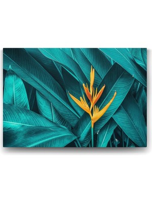 Asitan Starliçe Cennet Çiçeği Tablosu - 100X70CM