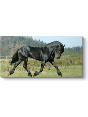 Asitan Devesi Tablosu 60 x 40