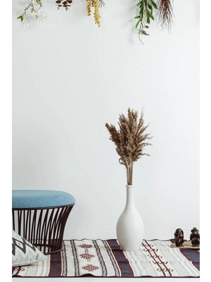 Asitan Natural 10 Adet Pampas Çiçek Dekor