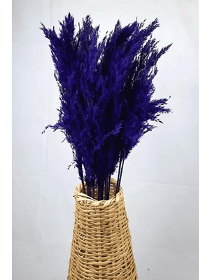 Asitan Şoklanmış Renkli Pampas Demeti 10'lu Set (Mor)