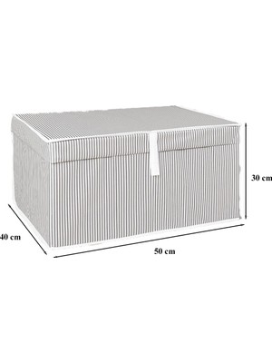 Asitan Çok Amaçlı Düzenleyici Kapaklı Sandık Tipi Kutu Hurç Organizer (50 x 40 x 30, Gri)