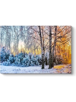 Asitan Günbatımı Kış Manzarası 45 x 30