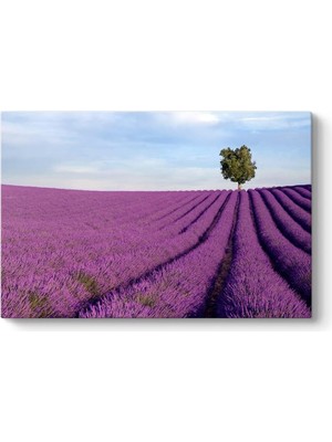 Asitan ve Lavanta Tablosu 140 x 100