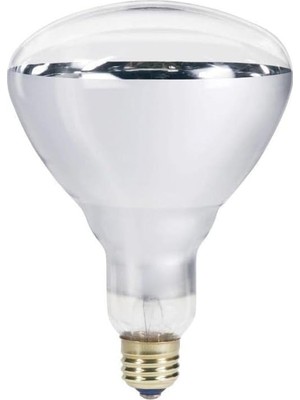 Asitan 250W Infrared Şeffaf Ampul E27