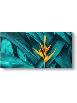 Asitan Starliçe Cennet Çiçeği Tablosu 140 x 70
