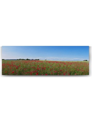 Asitan Bahçesi Tablosu 90 x 30