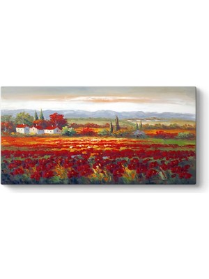 Asitan Gelincik Tarlası Manzara Tablosu 80 x 40