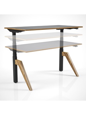Asitan Regula Desk Dandy - Elektrikli Yükseklik Ayarlı Çalışma Masası, Sıradışı Tasarım, Çift M