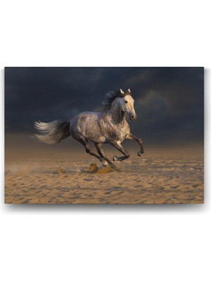 Asitan At Tablosu - 45X30CM