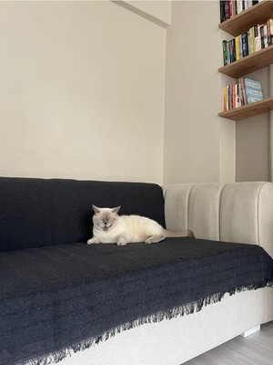 Asitan Koltuk Örtüsü Balıksırtı Bej 175 x 210