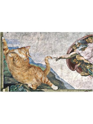 Asitan Monnhein Kedi Köpek Komik Tasarımlı Dekoratif Kapı Önü Paspas, Dış Mekan/ev Içi/banyo/mutf
