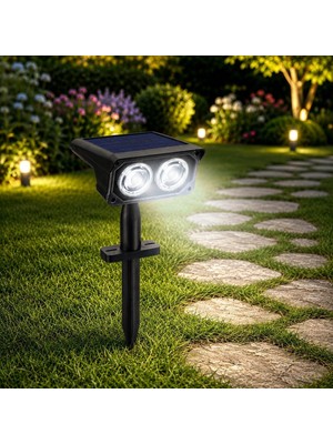 Asitan Coverzone Solar Bahçe Lambası 2W Smd Led, Toprak Çubuklu, Güneş Enerjili Bahçe Aydınlatma, 65