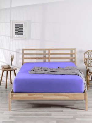 Asitan The Berb |%100 Pamuklu | Tek/çift Kişilik Lastikli Penye Çarşaf | Fitted Jersey (Lila, 200X200)