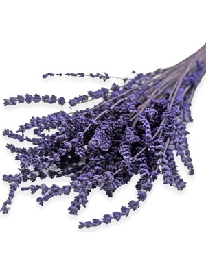 Asitan Kurutulmuş Lavanta Demeti 40-50 cm 3 Adet 200-300 Dal