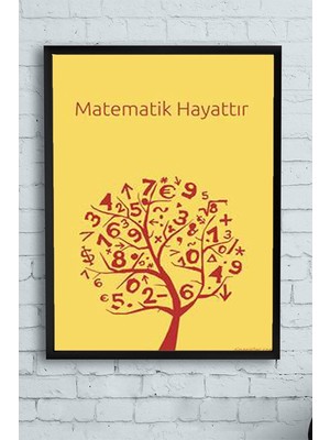Asitan Matematik Hayattır Eğitim Çerçeveli Tablo 2 21X30CM
