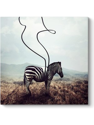 Asitan Sürreal Zebra Kanvas Tablo 90 x 90