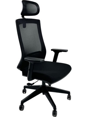 Asitan Dynamic Yönetici Çalışma Koltuğu Ayarlı Kollu Siyah Fileli Nefes Alabilen Kumaş Ayarlanabilir
