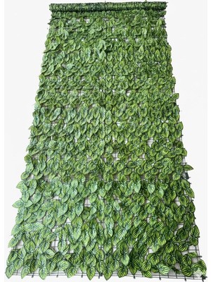 Asitan Yapay Gerçekçi Sarmaşık Çit, Bahçe Çiti, Balkon Çiti, Duvar Çiti, Dekoratif Sarmaşık 1x3