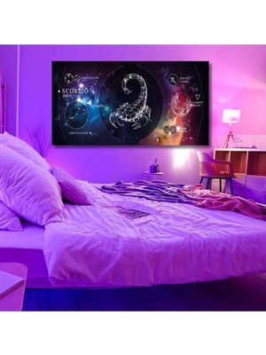 Asitan Kanvas Astroloji Zodiac Akrep Burç Özellikleri Tablo 120 x 60