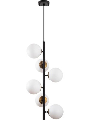 Asitan Modern Camlı 6'li Sarkıt Avize Siyah Metal Gövde, SIYAH-10475