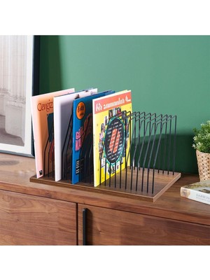 Asitan Rmd Shop Dekoratif Plak Düzenleyici Organizer Plaklık