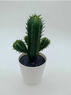 Asitan Ikea Fejka Kaktüs, 14 Cm, Mini Saksılı Yapay Kaktüs Bitki